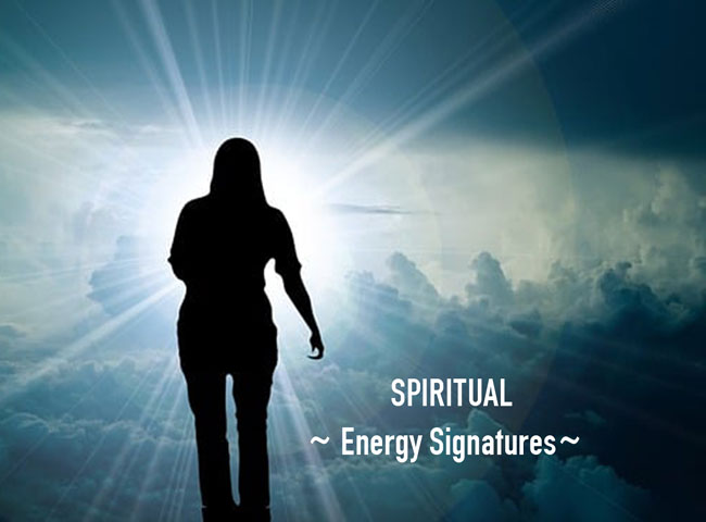 What Are Energy Signatures