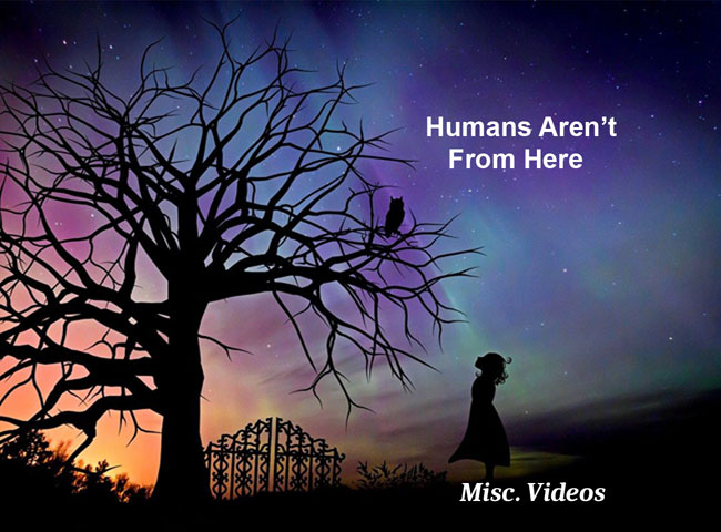 Humans Aren’t From Here